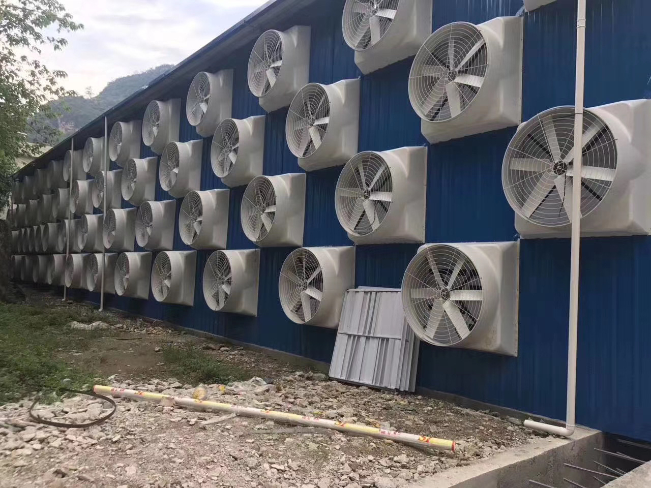 家畜用風(fēng)機(jī)
