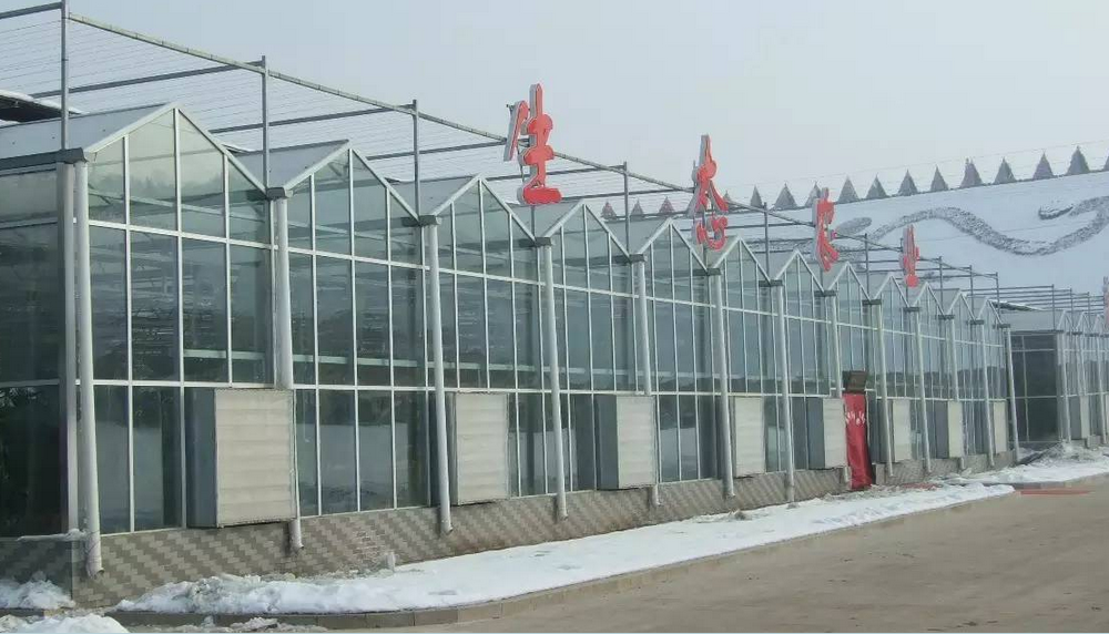 負壓風機工作效率的提高直接關系
