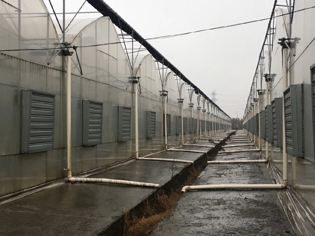 南陽(yáng)某養(yǎng)殖基地大棚安裝排風(fēng)機(jī)換氣降溫