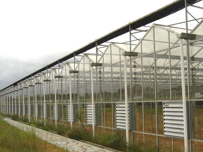 陜西某葡萄種植園裝排風機通風降溫